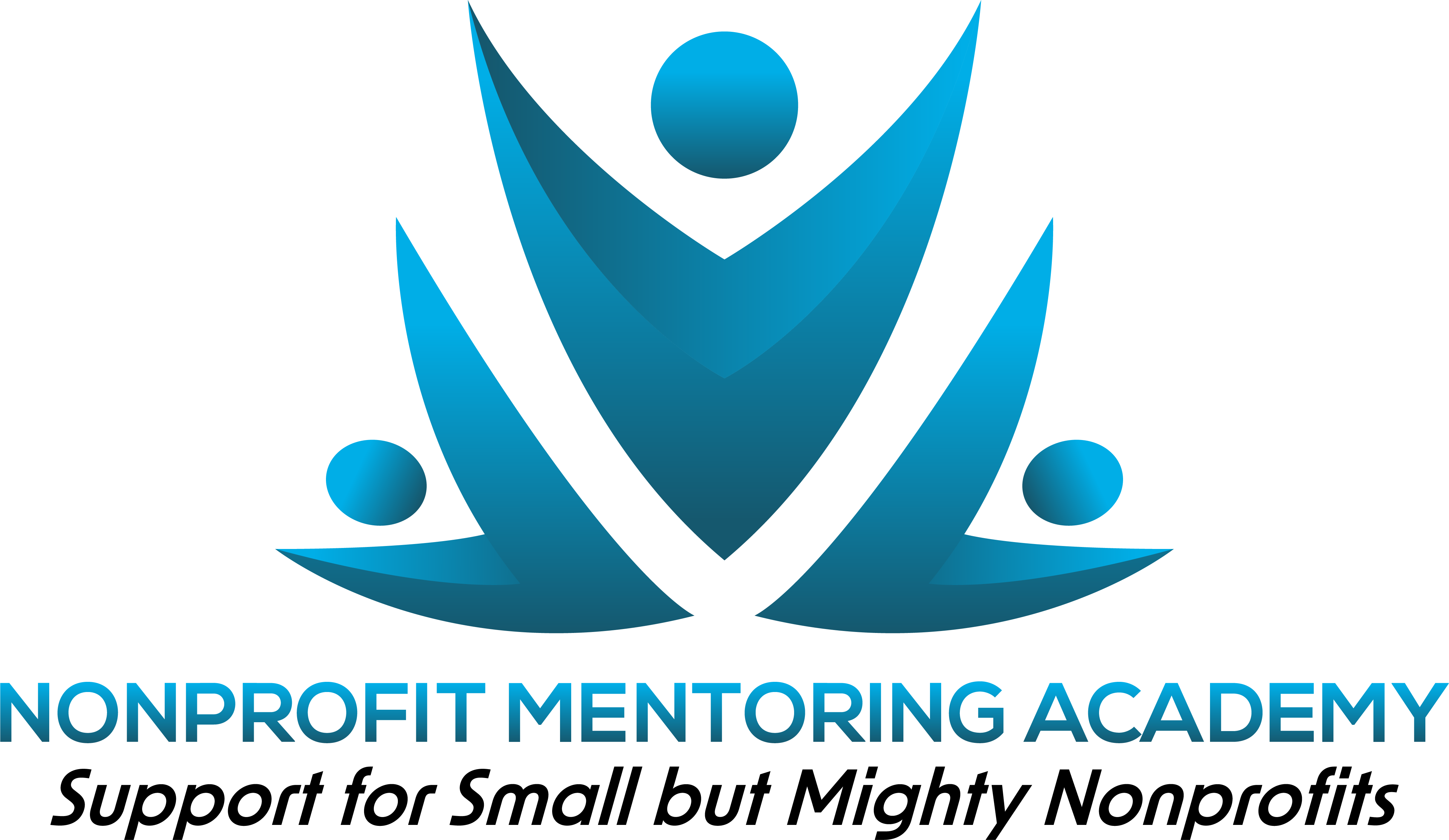 Nonprofit Mentoring Academy